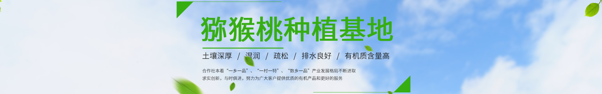 中文无码日本一级A片久久影视播放观看